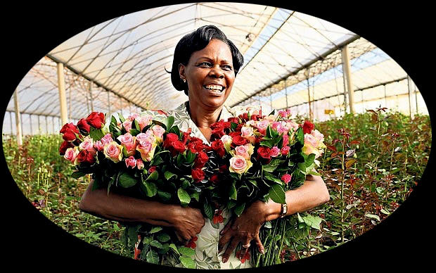 Australian Grown Flowers